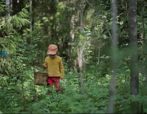 środowisko - chłopiec w lesie